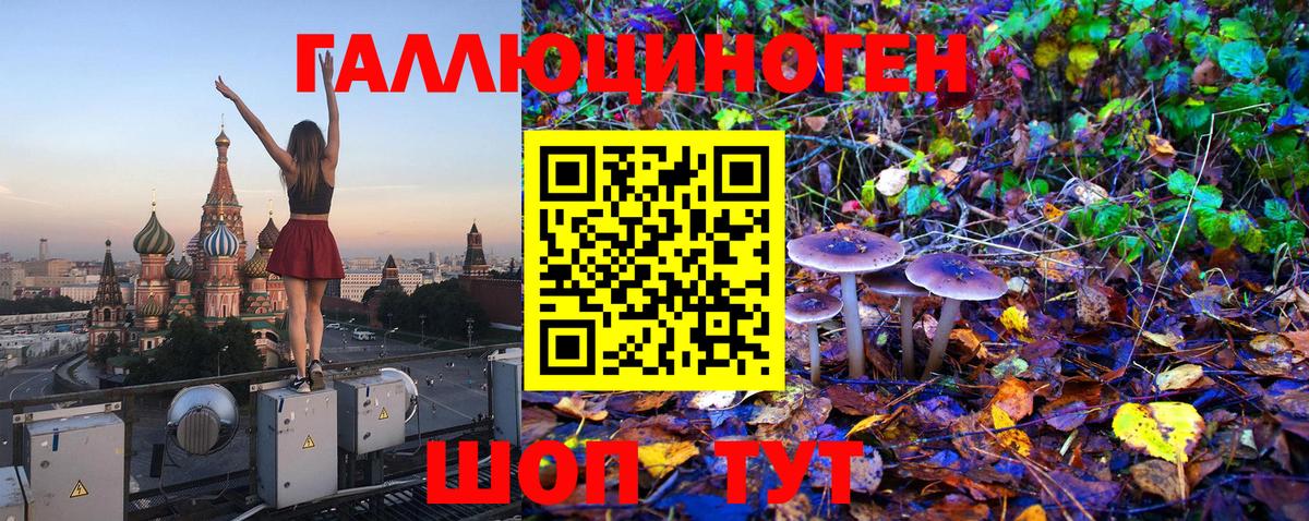 Альфа ПВП Россошь