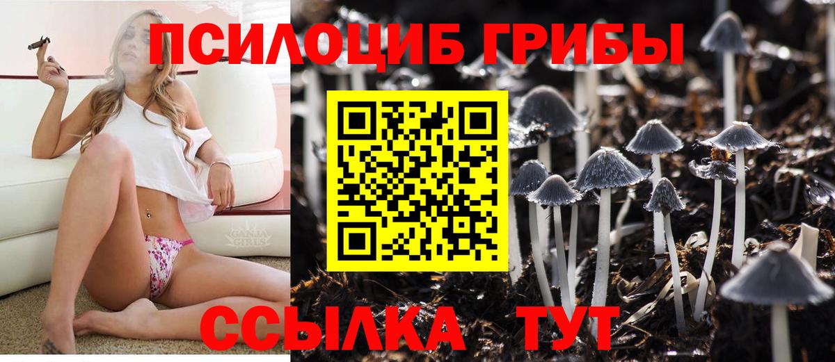 Псилоцибиновые грибы MAGIC MUSHROOMS Россошь